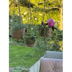 Urtepotteskjuler til ophng